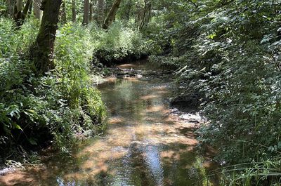 Our office sits by an orchard, walled garden, lawns and rose walks, in the heart of the Somerset countryside, 5 mins from Frome.